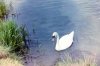 2011-08-24_17.jpg 2011-08-24_17.jpg
