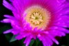 DSC00630.jpg