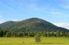 DSC00702.jpg