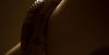 DSC_6159edit.jpg