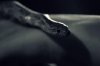 DSC_6178edit.jpg