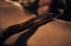 DSC_6190edt2.jpg