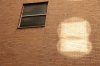Windows and Bricks Color.JPG