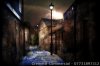 IMG_3411LIGHT.jpg IMG_3411LIGHT.jpg