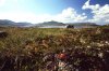Hardangervidda-Mountainplatou in Telemark.tif.jpg