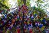 tree of colours.jpg