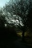 DSCF0015a.jpg