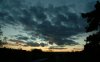 DSCF0047a.jpg