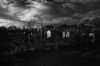 allotment 1.jpg allotment 1.jpg