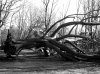 P1000248bwf.JPG