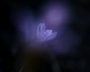 ghosting.jpg ghosting.jpg