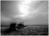 Cleethorpes seadront in December monochrome.jpg