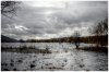 Coniston Water in November.jpg