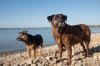 Beach Bums3.jpg