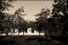 Tranquility-1.jpg Tranquility-1.jpg