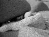 P1020090bwa.JPG