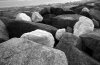 P1020098bwa.JPG