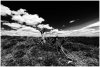 Rudland Rigg in Mono.jpg