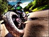 Yamaha Bobber XVS650 Willingham Woods.jpg