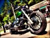 Yamaha Bobber Willingham Woods in colour.jpg
