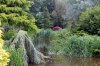 IMG_4103 - Copy.JPG