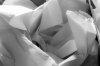 white paper study 2.jpg