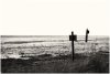 Posts on a beach in Lincolnshire.jpg