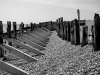 P1040100bwa.JPG