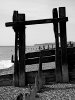 P1040114bwa.JPG
