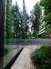 P1040264a.JPG