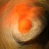 oranges02sq.jpg
