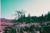 Drive By Desolation.jpg