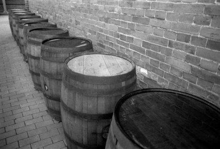 2023-06-07-0055 barrels TINY.jpg