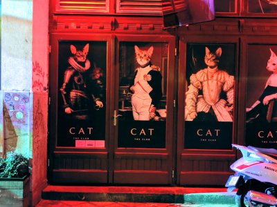 Cat Club Budapest.jpg