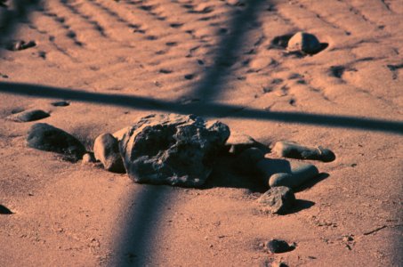 Dune Cross RPF.jpg