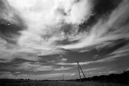 2023-09-08-0034 telegraph poles 15mm-1.jpg