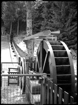 lx_rollei80 (1).jpg