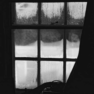 Window (2).jpg