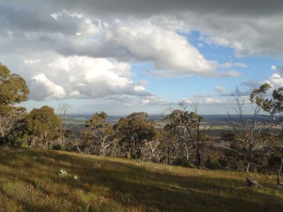 view looking east from summit-small.JPG