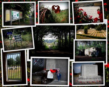 Collages4.jpg