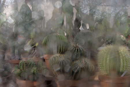 dc-lx100m2-PAN9025.jpg