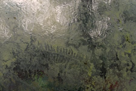 dc-lx100m2-PAN9038.jpg