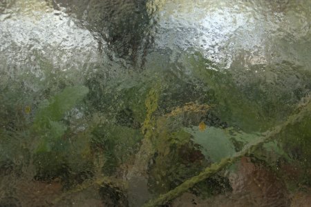 dc-lx100m2-PAN9051.jpg
