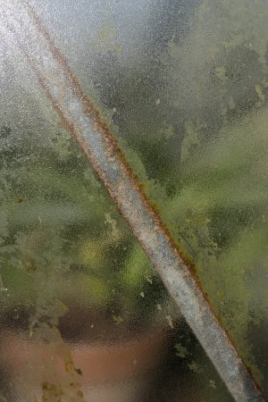 dc-lx100m2-PAN9049.jpg