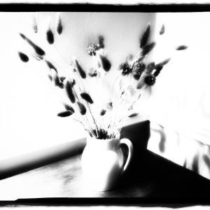 White Jug with Flowers.jpg