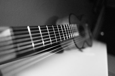 10-String Polopan 2.jpg