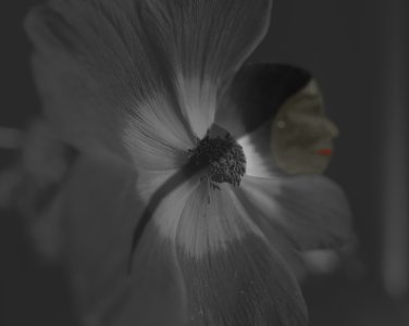 woman petal.jpg