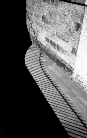 shadow fence.jpg