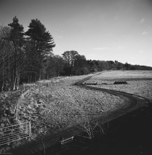 Dalmeny Estate Curved Track.jpg