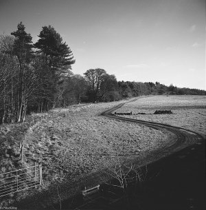 Dalmeny Estate Curved Track 2 Full Spectrum6.jpg